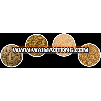 Rice Bran for cattle, fish, pig, horse animal feed