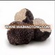 Black summer truffle