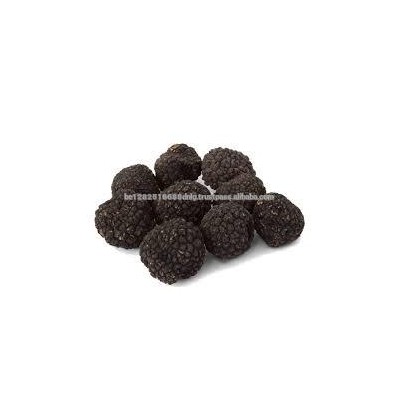 Mushroom Fresh Black Truffle, High Quality Fresh Truffle,Black Truffle